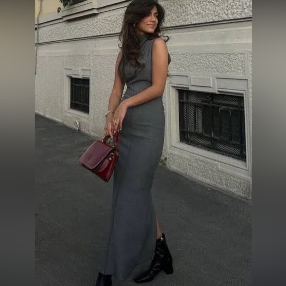 Zara seam dress